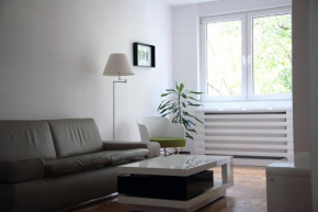 Designer Apartment in heart of city - River view ! Park for free